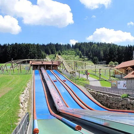 Im Bayerischen Wald Inkl- Aktivcard By Interhome