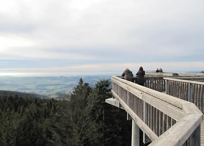 Im Bayerischen Wald Inkl- Aktivcard By Interhome * Sankt Englmar